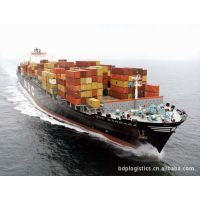 国际海运货代服务 整箱与拼箱运输的综合指南